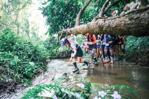 BIB: 
                            <button type="button" onclick="openModal(25466671)" class="btn btn-primary btn-sm float-right btn-popup" data-toggle="modal" data-target=".modal-high-quality">
                        <i class="fas fa-shopping-cart"></i> Add to Cart
                    </button>
                                            <button type="button" onclick="isThisMe(25466671, true)" class="btn btn-success btn-sm float-right btn-popup btn-isme hidden" data-toggle="tooltip" data-placement="bottom" title="นี่คือรูปของคุณใช่ไหม คลิกที่นี่เพื่อเอาเข้าอัลบั้ม">
                        <i class="fas fa-plus"></i> Add to album
                    </button>
                    <button type="button" onclick="isThisMe(25466671, false)" class="btn btn-warning btn-sm float-right btn-popup btn-isnotme hidden">
                        <i class="fas fa-ban"></i> Remove from album
                    </button>